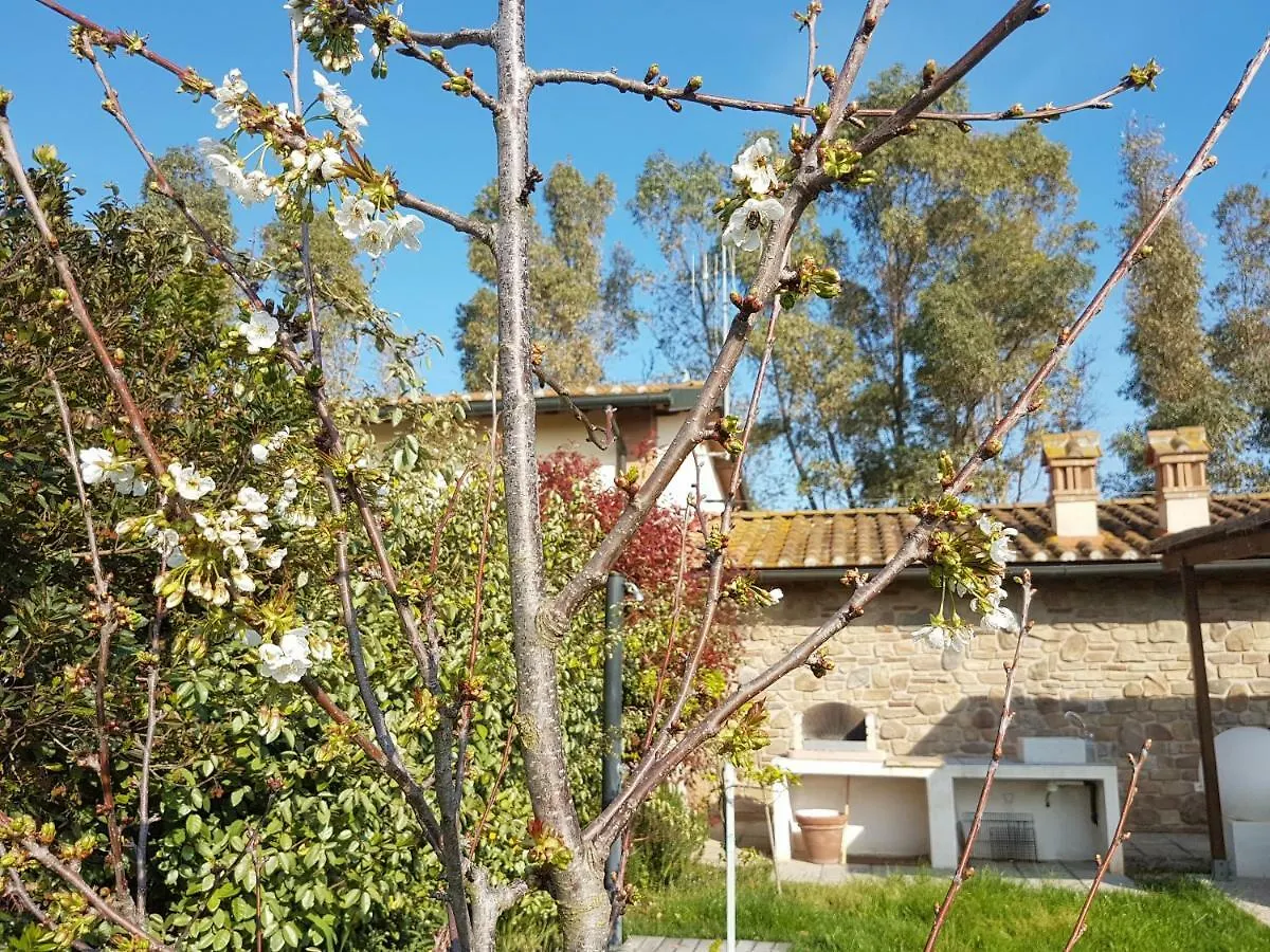 Villino Il Paduletto Villa Casa Paduletto